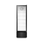 Hisense FL-30FC 215L Showcase Fridge